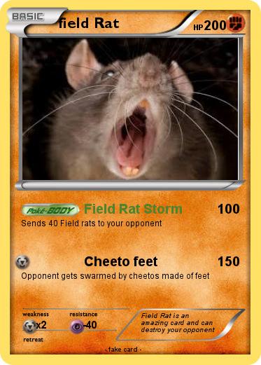 Pokemon field Rat