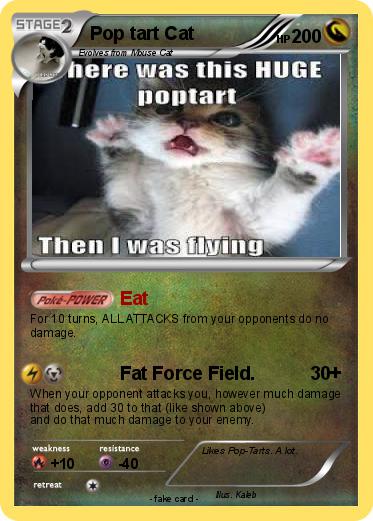Pokemon Pop tart Cat