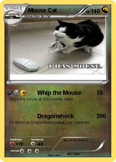 Pokemon Mouse Cat