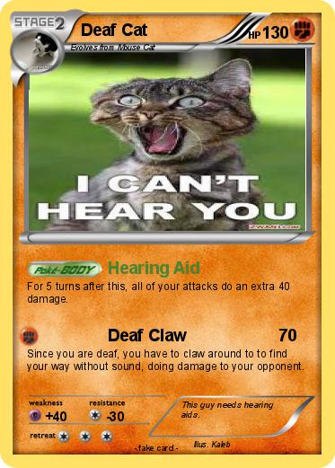 Pokemon Deaf Cat
