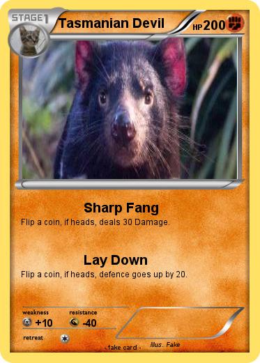 Pokemon Tasmanian Devil