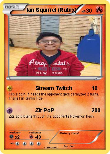 Pokemon Ian Squirrel (Rubix)