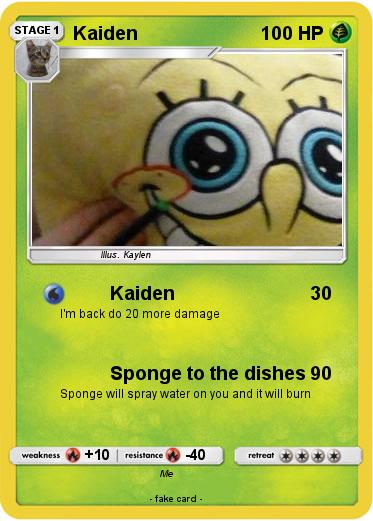 Pokemon Kaiden