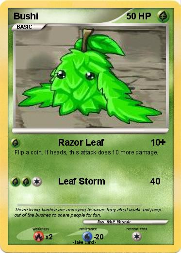 Pokemon Bushi