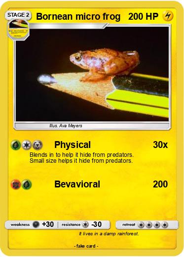 Pokemon Bornean micro frog