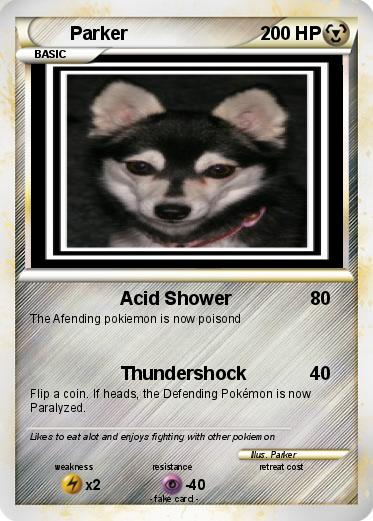 Pokemon Parker