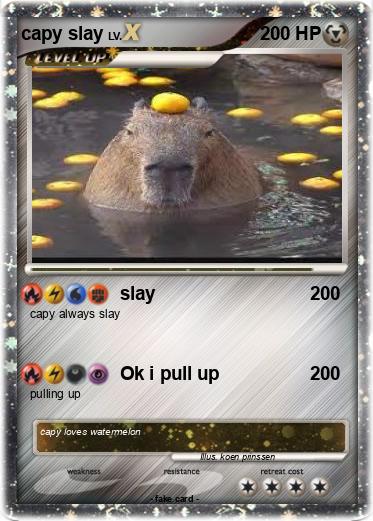 Pokemon capy slay