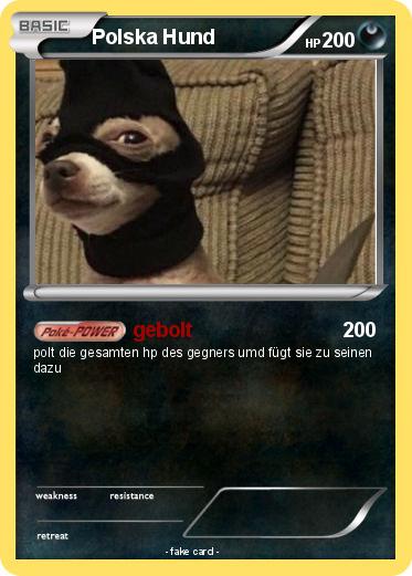 Pokemon Polska Hund