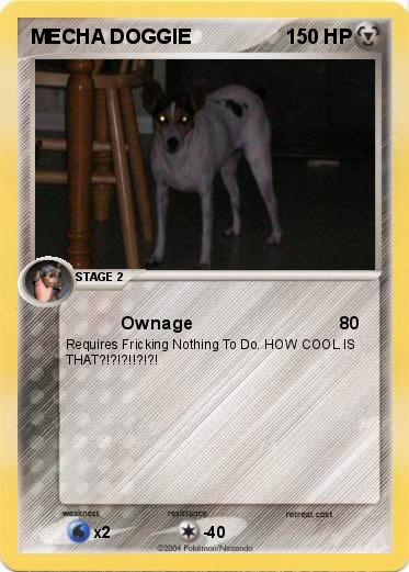 Pokemon MECHA DOGGIE