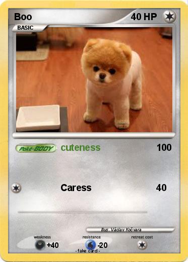 Pokemon Boo