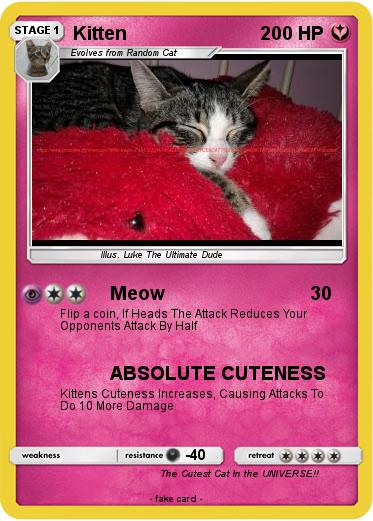 Pokemon Kitten