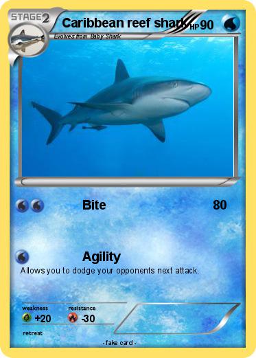 Pokemon Caribbean reef shark