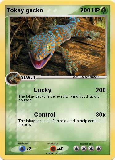 Pokemon Tokay gecko