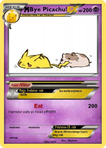 Pokemon Bye Picachu!