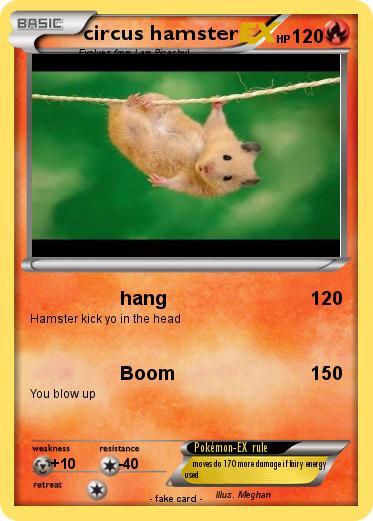 Pokemon circus hamster