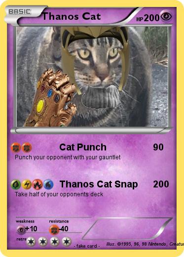 Pokemon Thanos Cat