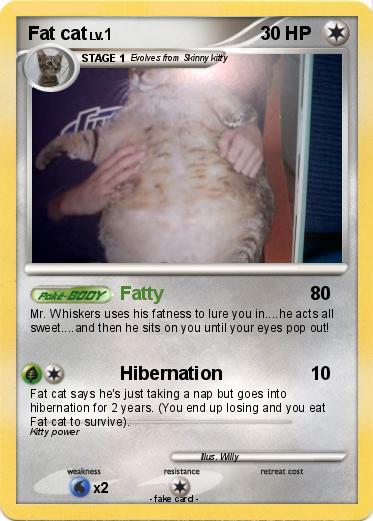 Pokemon Fat cat