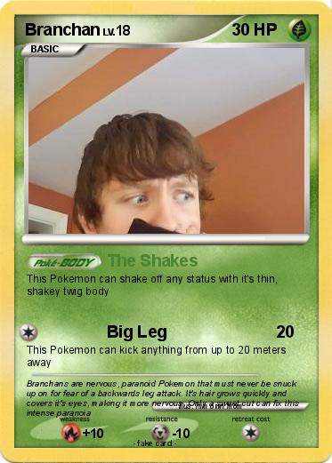 Pokemon Branchan