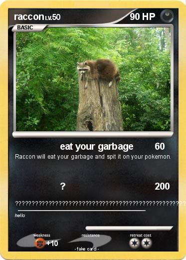 Pokemon raccon
