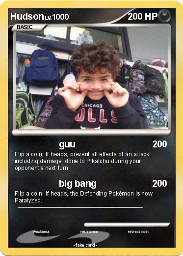 Pokemon Hudson