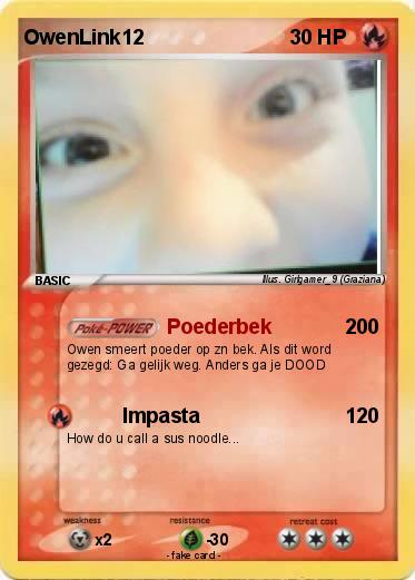 Pokemon OwenLink12