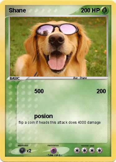 Pokemon Shane