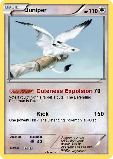 Pokemon Juniper