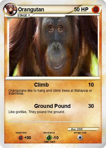Pokemon Orangutan