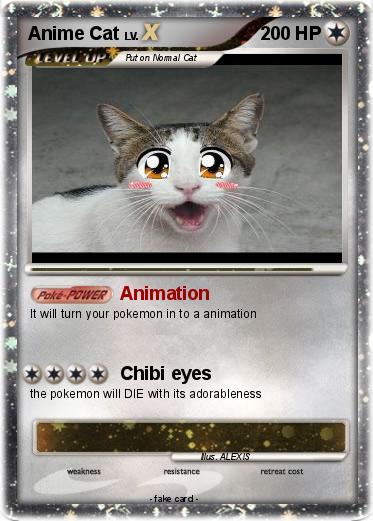 Pokemon Anime Cat