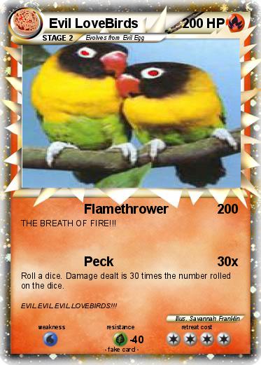 Pokemon Evil LoveBirds