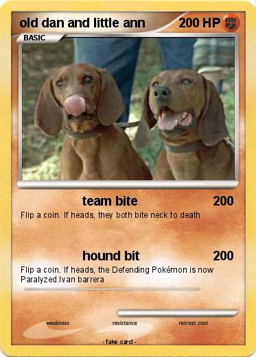 Pokemon old dan and little ann