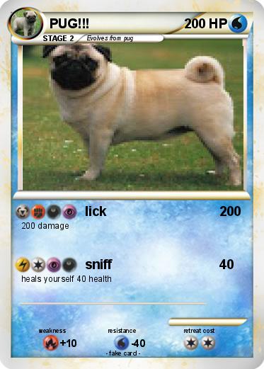 Pokemon PUG!!!