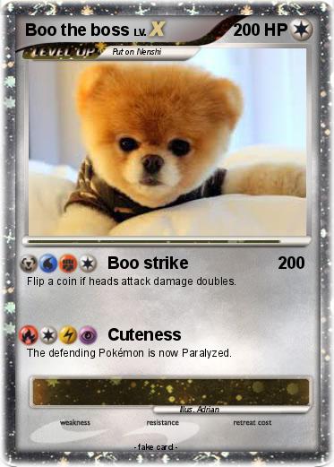 Pokemon Boo the boss