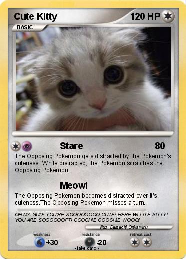 Pokemon Cute Kitty