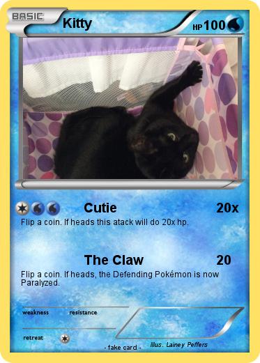 Pokemon Kitty