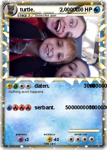 Pokemon turtle.                 2,00000