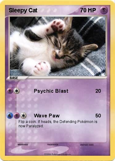 Pokemon Sleepy Cat