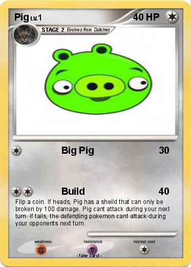 Pokemon Pig