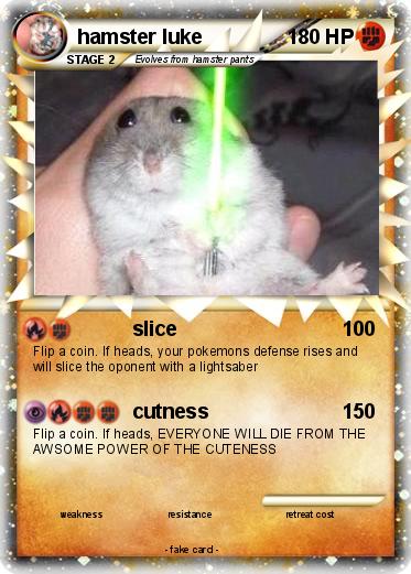 Pokemon hamster luke