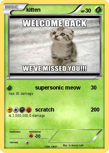 Pokemon kitten