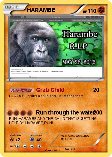 Pokemon HARAMBE
