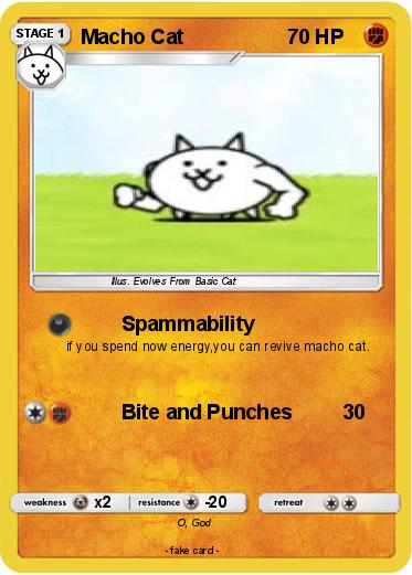 Pokemon Macho Cat