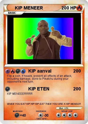 Pokemon KIP MENEER