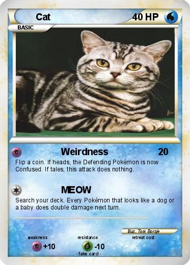 Pokemon Cat
