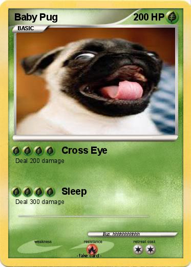 Pokemon Baby Pug