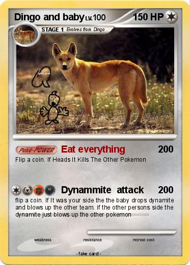 Pokemon Dingo and baby