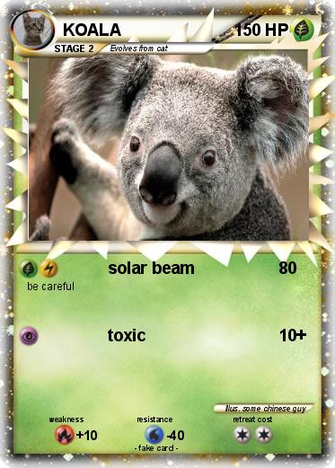 Pokemon KOALA