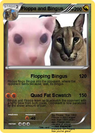 Pokemon Floppa and Bingus