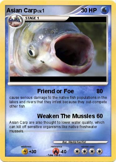 Pokemon Asian Carp