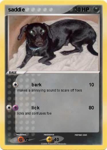 Pokemon saddie